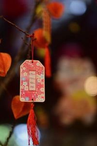 phiên bản Nohu mới nhất
